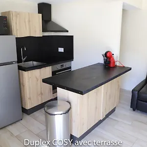 Duplex Cosy Avec Terrasse Appartement